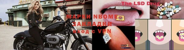бошки Аркадак