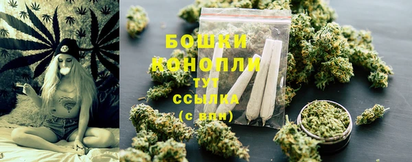 спиды Арсеньев