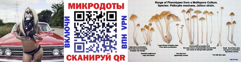Псилоцибиновые грибы ЛСД  Починок 